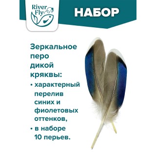 Перо утки зеркальное, маховое