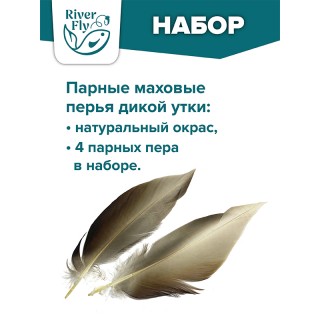 Парные маховые перья утки