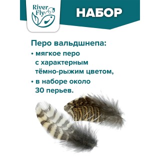 Перо вальдшнепа