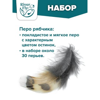 Перо рябчика