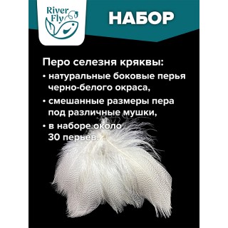 Перо селезня кряквы