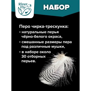 Перо чирка