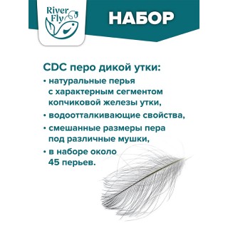Перо CDC