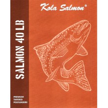 Подлесок конусный Polyleader SALMON 10'0 (3,0m 3.6g) 40 lb