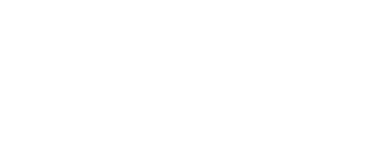 River Fly